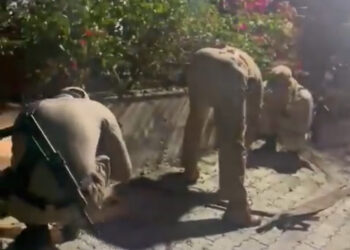 Miscreants hurled grenade at Manipur minister’s house, CRPF trooper injured