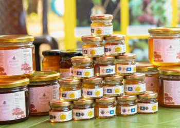 Meghalaya’s Chigitchakgre declared Bee Village