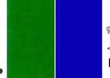 UDP, HSPDP revive alliance to choose joint candidate from Shillong parliamentary seat